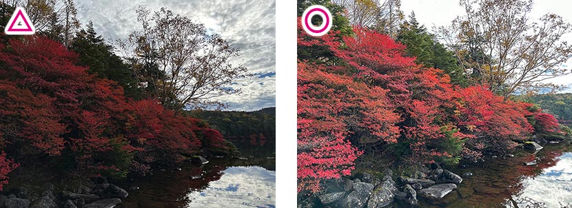 逆光によって紅葉が暗くなる／自動露出機能で明るく撮ることができる